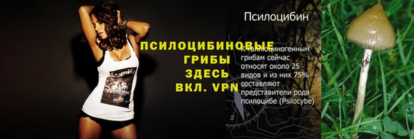 гидра Куйбышев