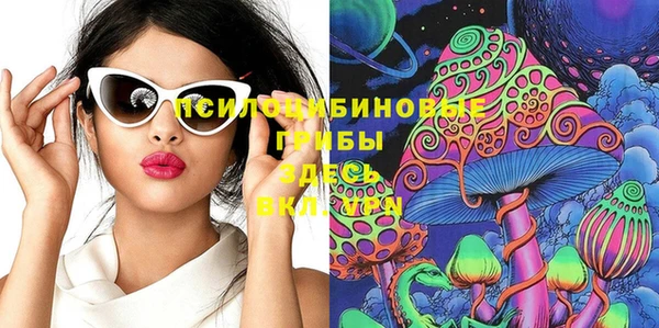 гидропоника Кукмор