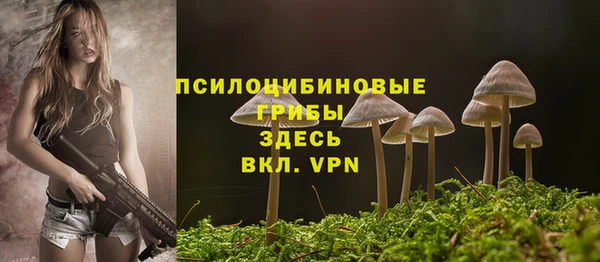 гидра Куйбышев
