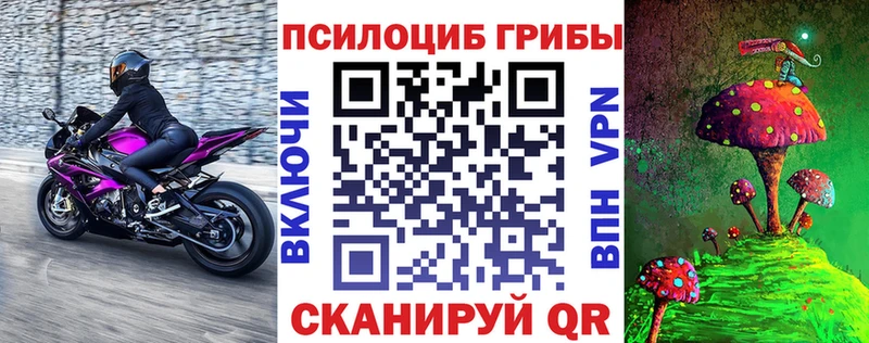 Псилоцибиновые грибы мицелий  OMG зеркало  Малая Вишера  наркота 
